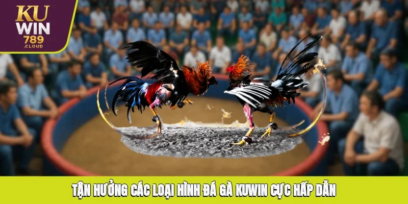 Tận hưởng những dịch vụ nổi trội tại chuyên mục đá gà
