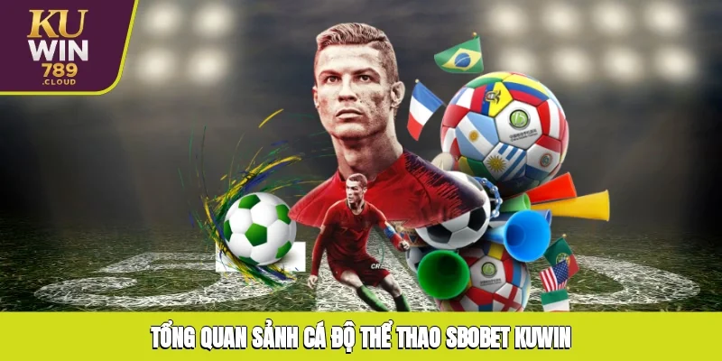 Tổng quan sảnh cá độ thể thao SBOBET KUWIN