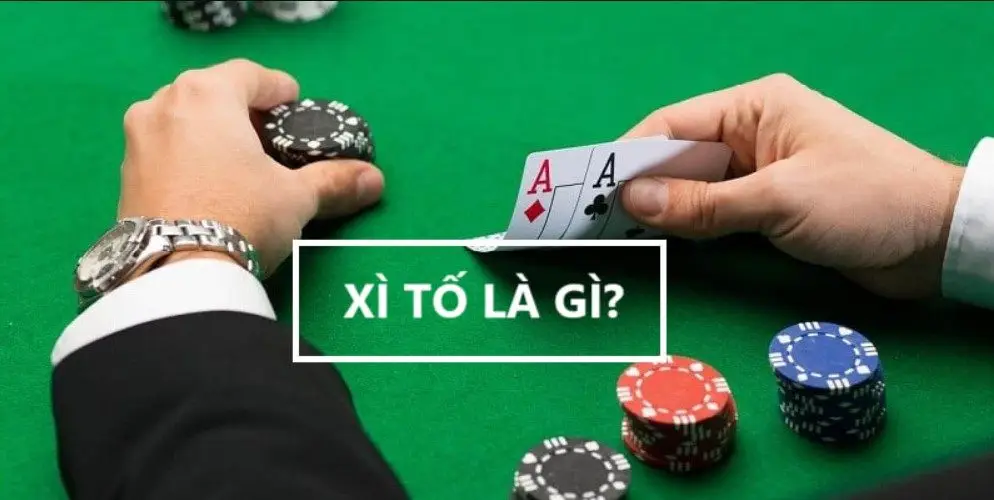 Tìm hiểu về định nghĩa xì tố là gì?